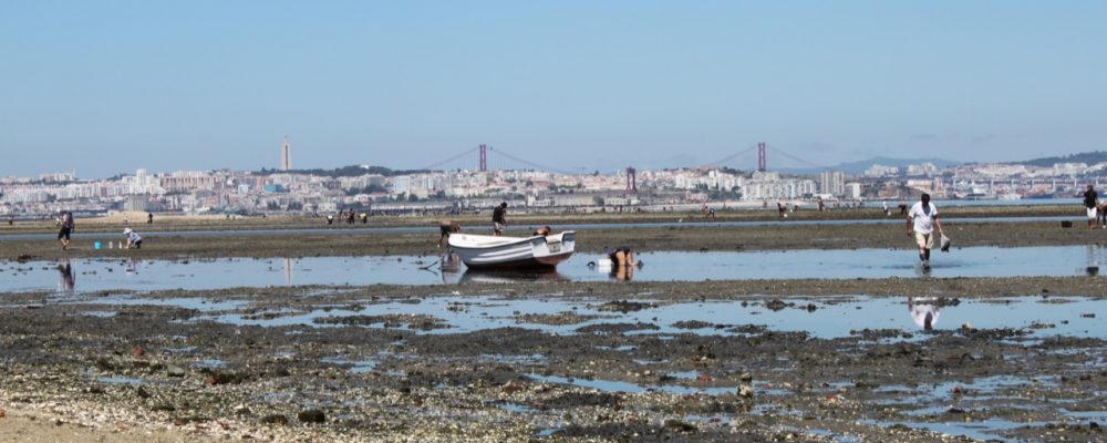 Zona-ribeirinha-e-parque-industrial-10